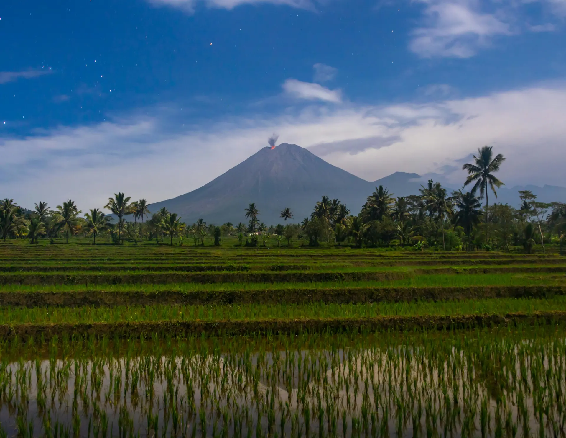 21-Day Private Java Adventure: Bogor, Bandung, Yogyakarta, Bromo & Ijen